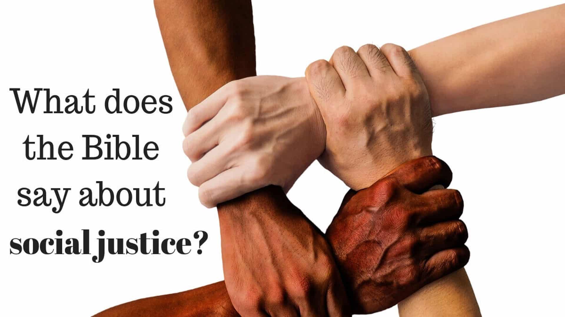 The Bible & Social Justice