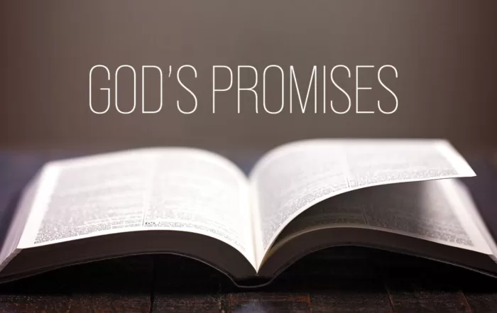 Finding hope in Gods promises