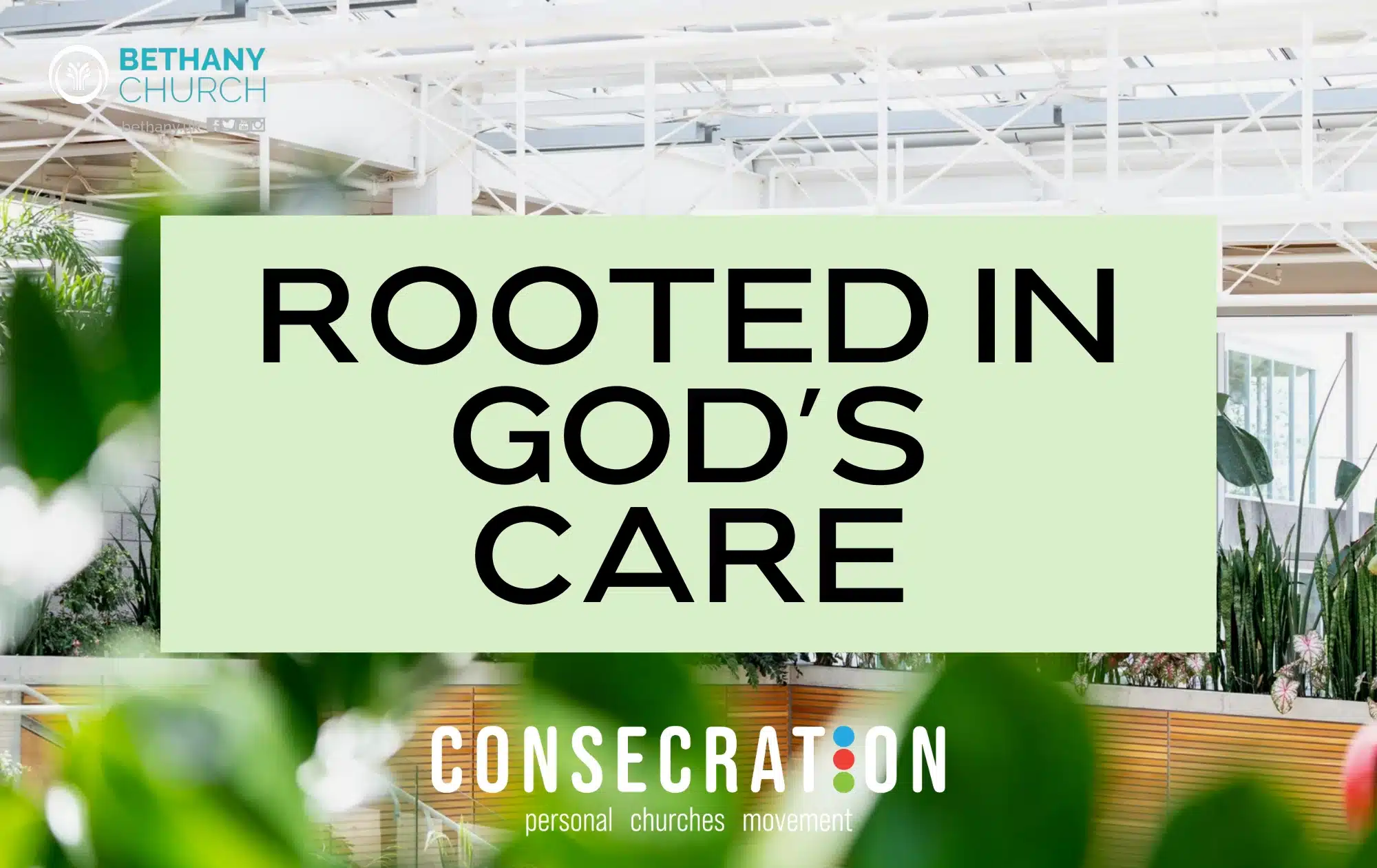 Rooted in God's Care