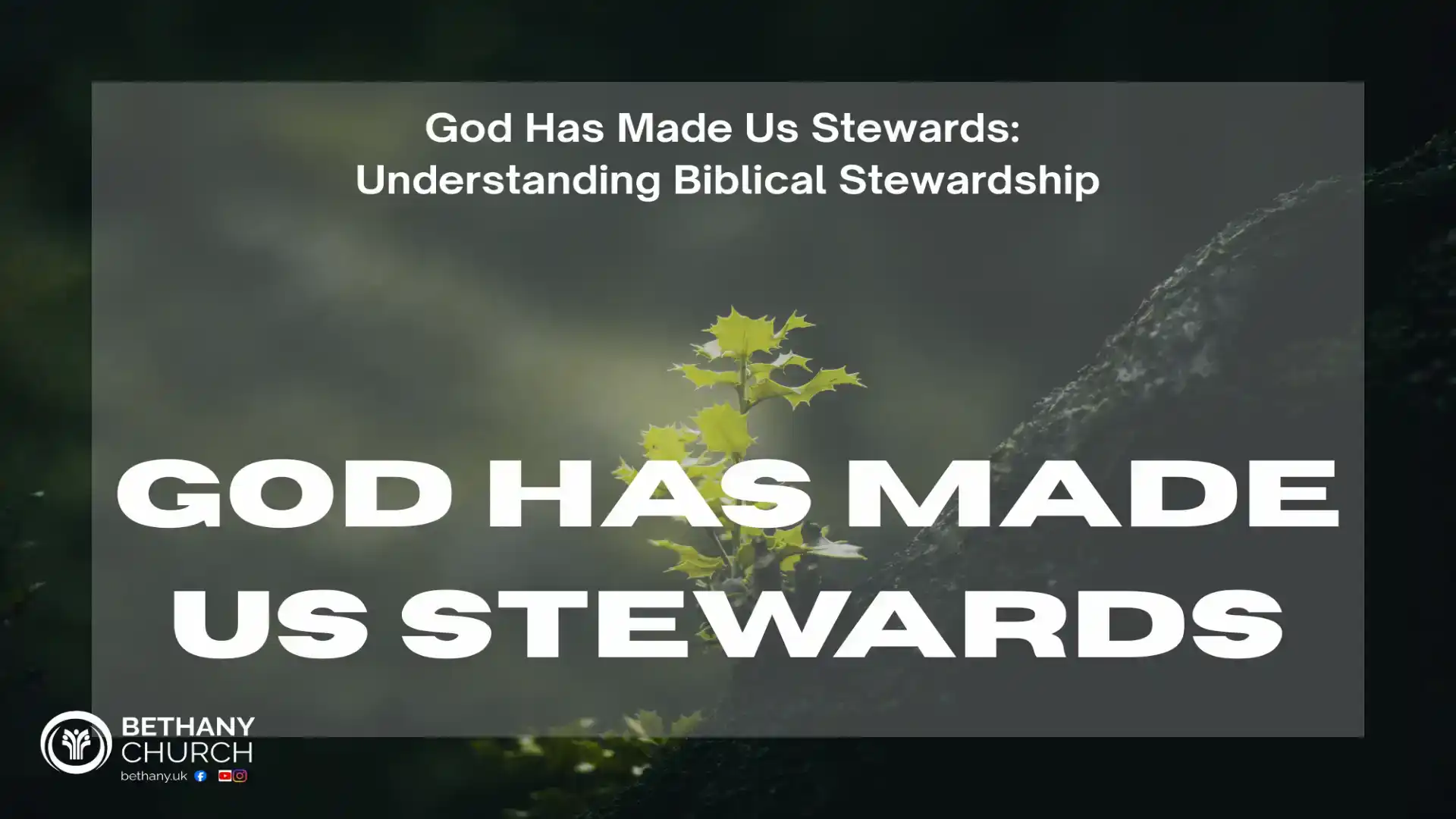 God has made us stewards