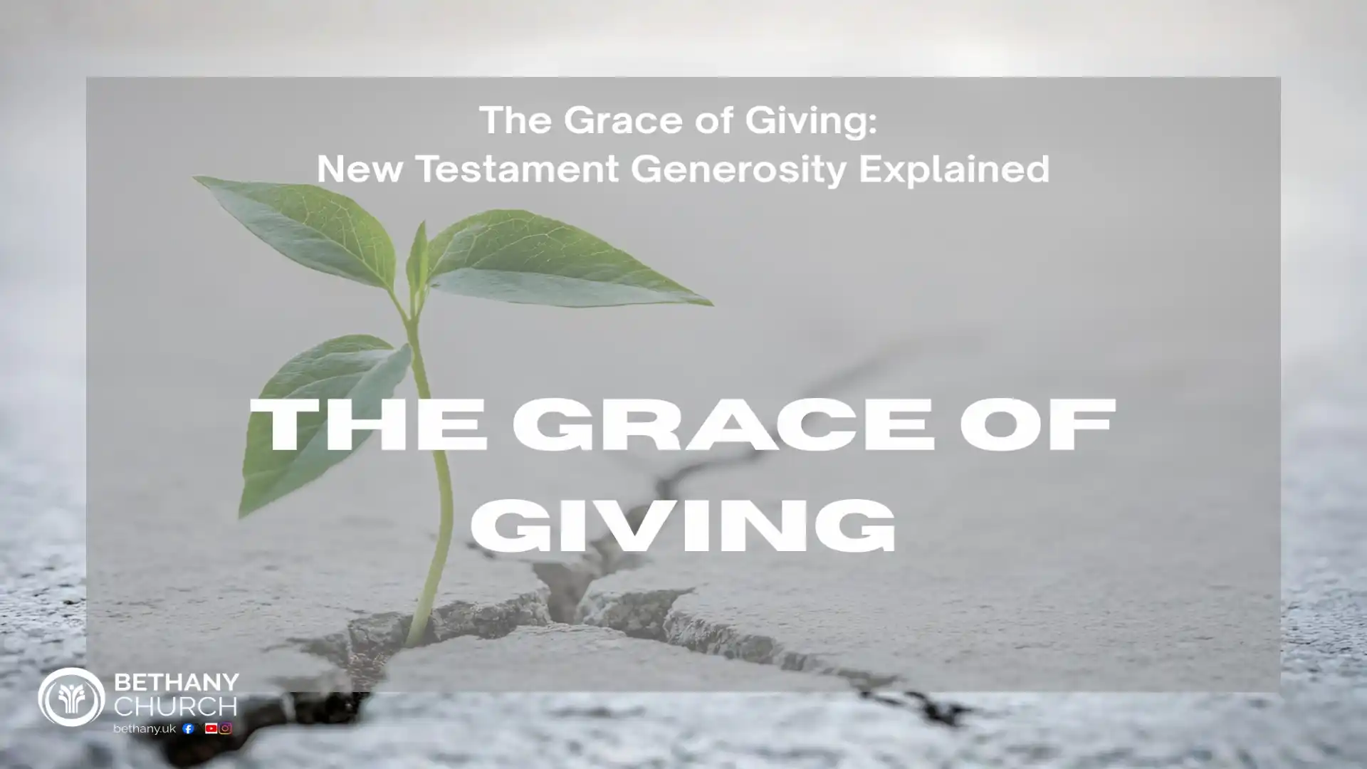 The grace of giving