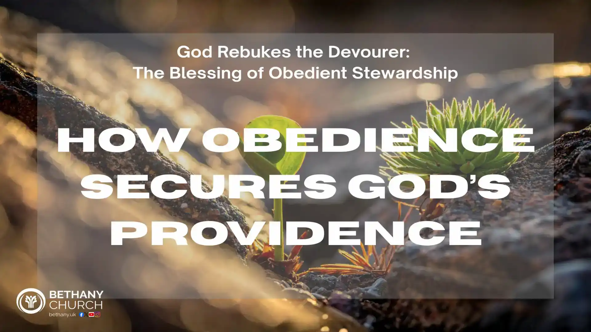 how obedience secures Gods providence