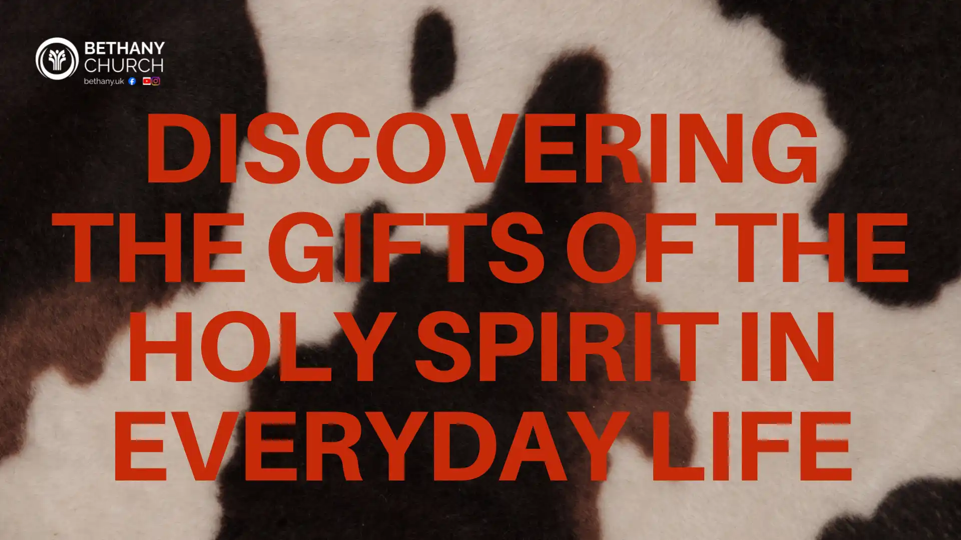 Discovering the Gifts of the Holy Spirit in Everyday Life